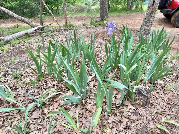 $175,000 | 320 Hillside Ln Valley View, Valley View, TX 76272