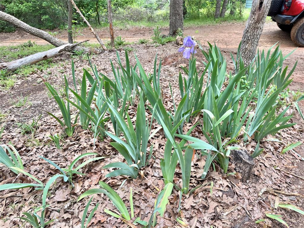 320 Hillside Ln Valley View Valley View, TX 76272 - Photo 3 of 29