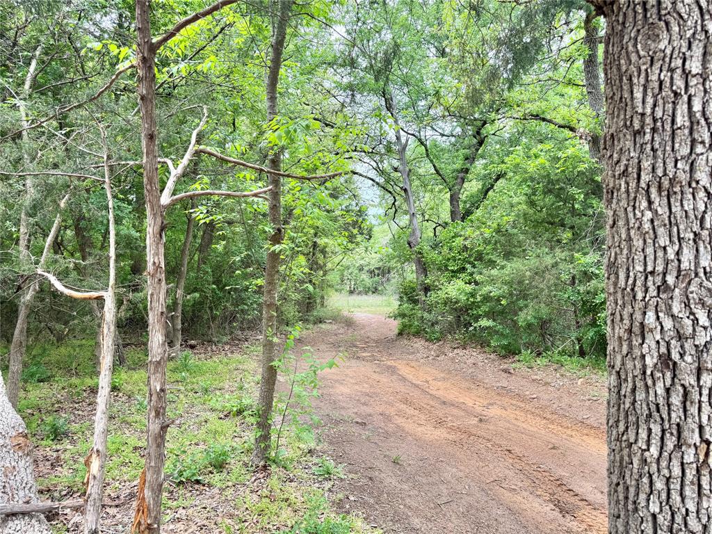 320 Hillside Ln Valley View Valley View, TX 76272 - Photo 7 of 29