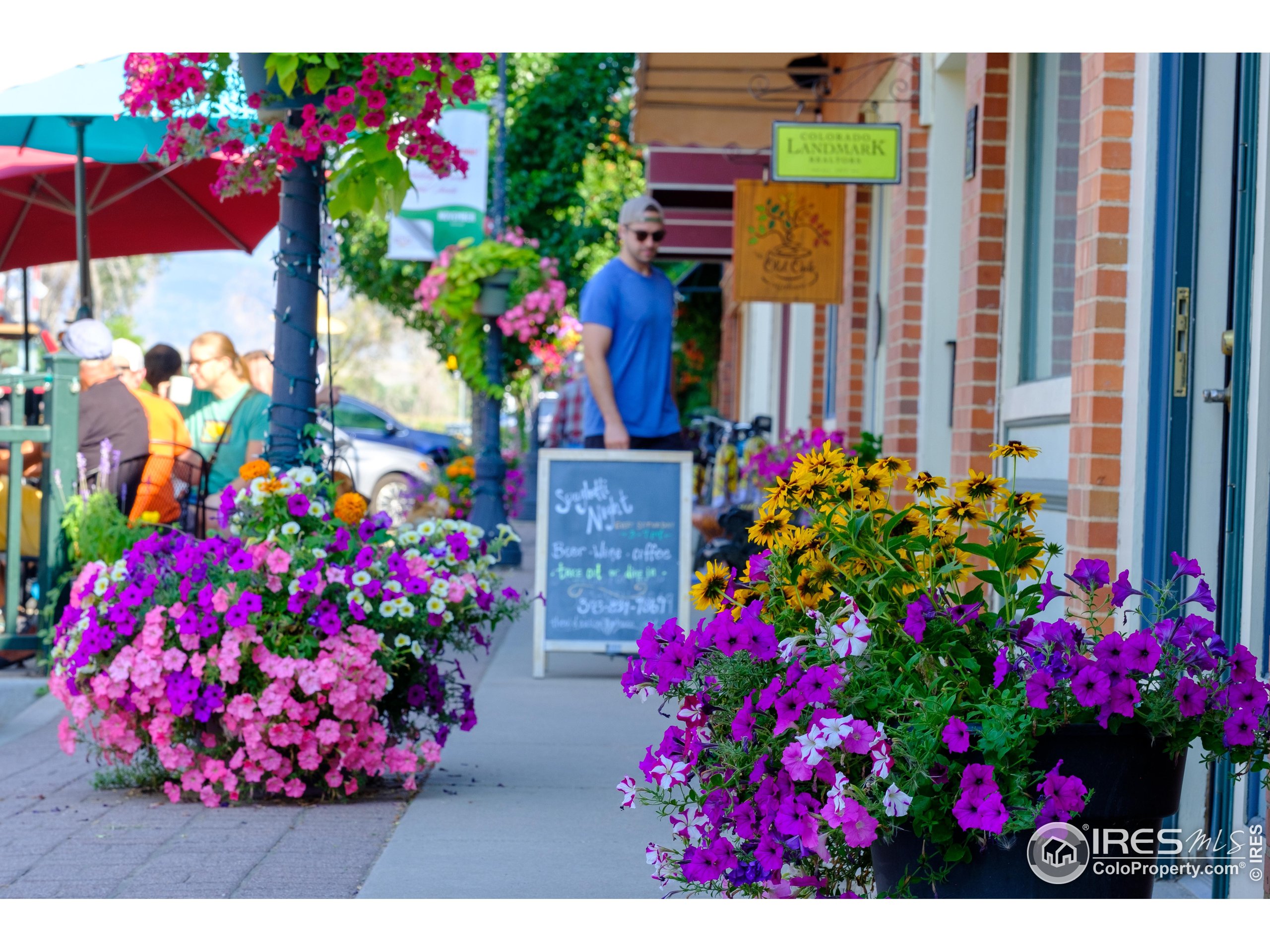 8060 Niwot Road, Unit 66 Niwot, CO 80503 - Photo 16 of 17