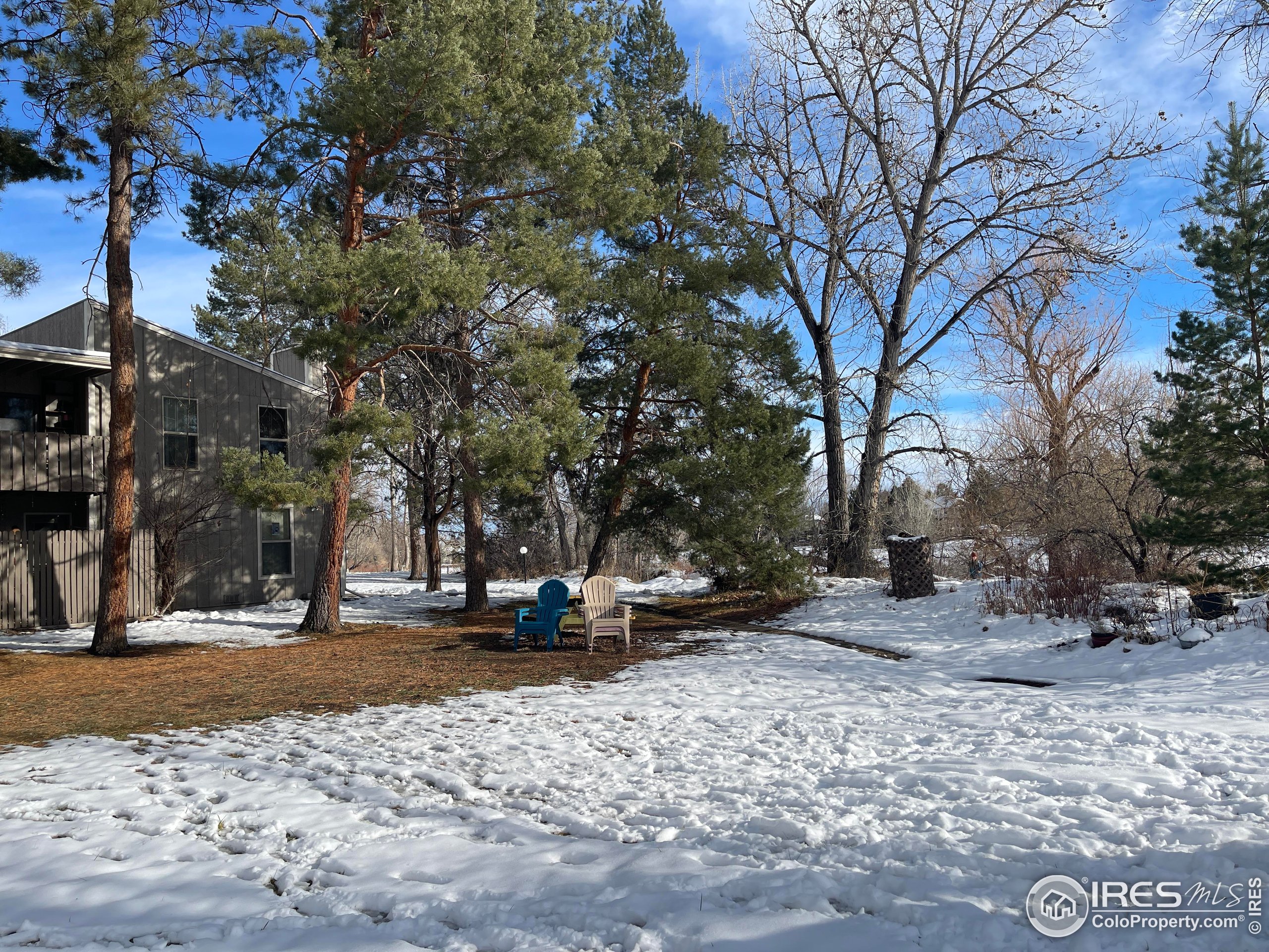 8060 Niwot Road, Unit 66 Niwot, CO 80503 - Photo 2 of 17 a row of palm trees in the middle of a yard