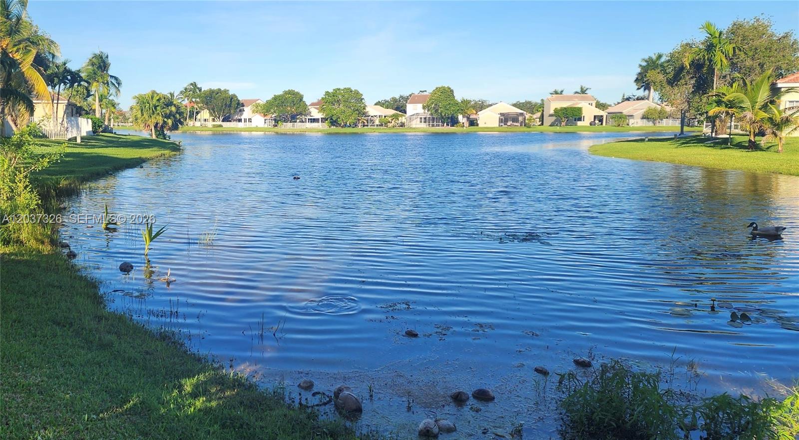 649 Willow Bend Road Weston, FL 33327 - Photo 1 of 42