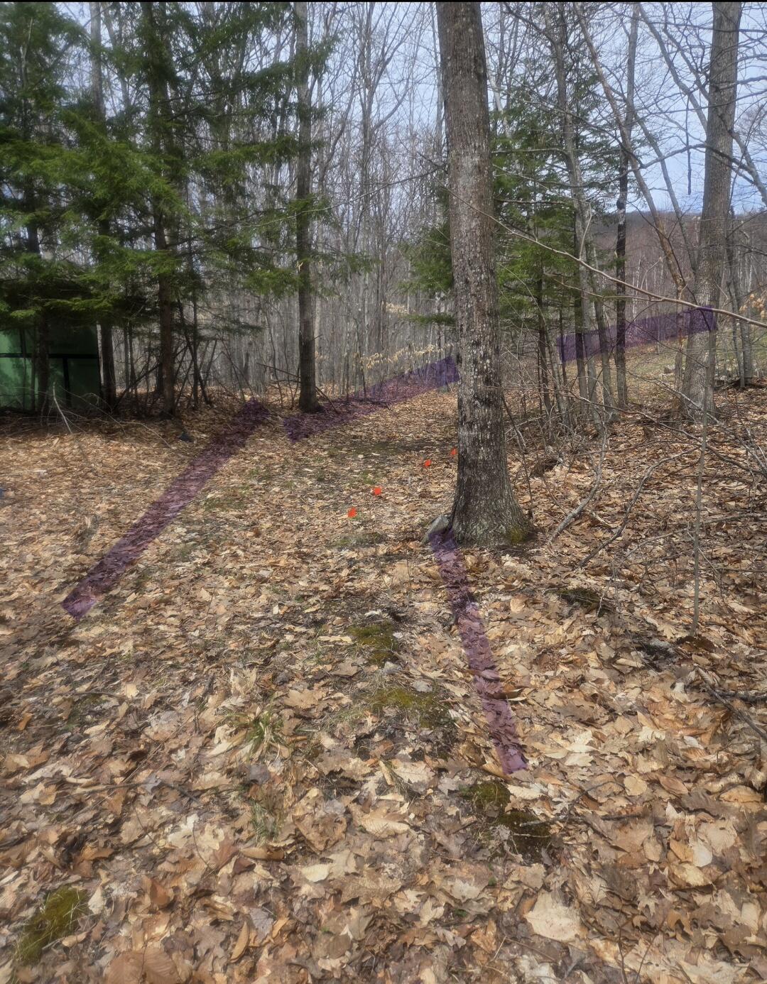 R05-0023 Tripptown Road Hiram, ME 04041 - Photo 12 of 12 ROW path