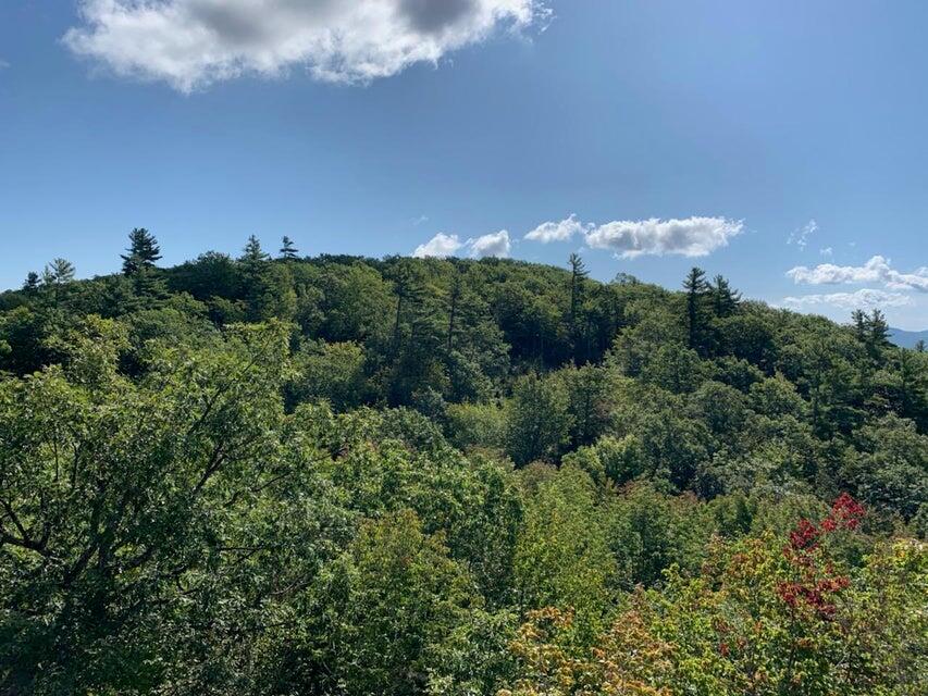 R05-0023 Tripptown Road Hiram, ME 04041 - Photo 2 of 12 Land Pic 2