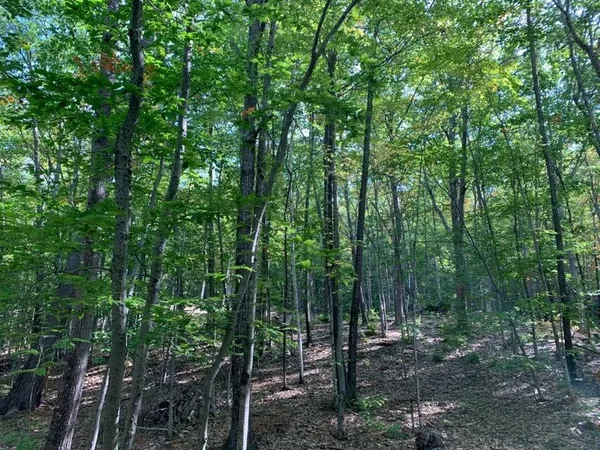 $85,000 | R05-0023 Tripptown Road, Hiram, ME 04041