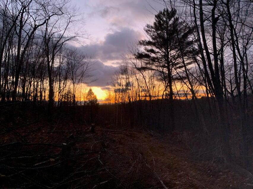 R05-0023 Tripptown Road Hiram, ME 04041 - Photo 4 of 12 Land Pic 4