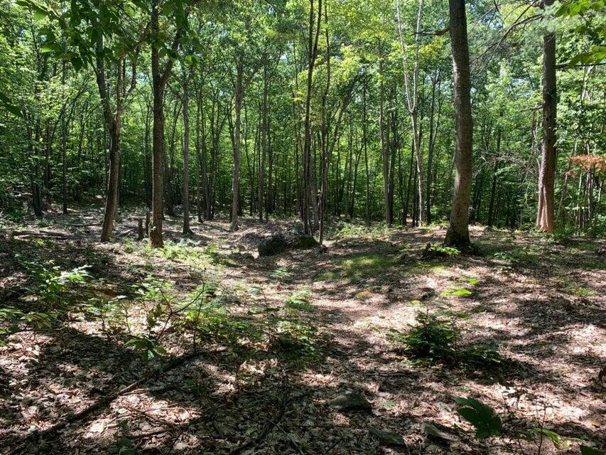 R05-0023 Tripptown Road Hiram, ME 04041 - Photo 5 of 12 Land Pic 5