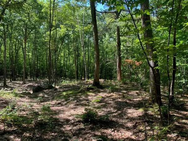$85,000 | R05-0023 Tripptown Road, Hiram, ME 04041