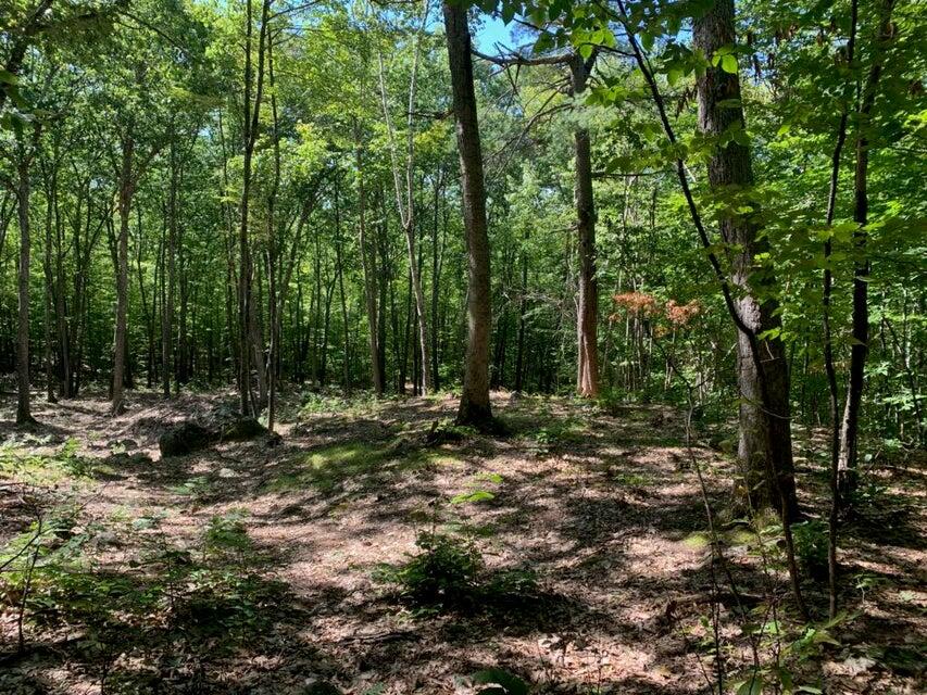 R05-0023 Tripptown Road Hiram, ME 04041 - Photo 6 of 12 Land Pic 6