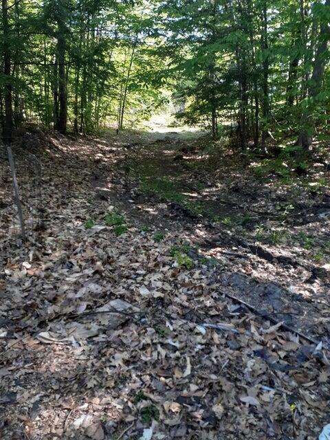 R05-0023 Tripptown Road Hiram, ME 04041 - Photo 8 of 12 Land Pic 8