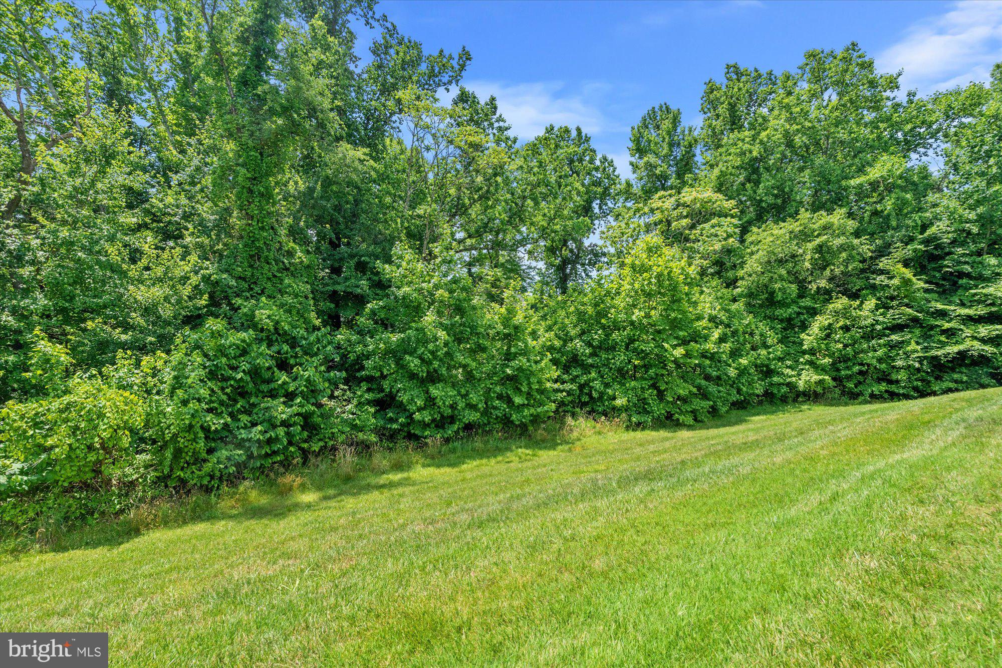 10907 Dappled Grey Way Upper Marlboro, MD 20772 - Photo 37 of 42