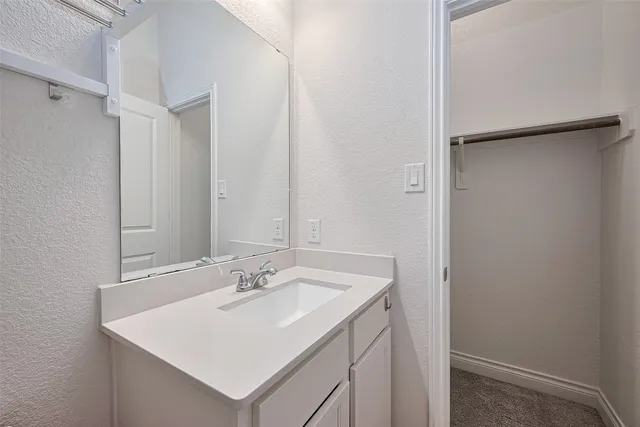 a bathroom with a sink a mirror and a shower