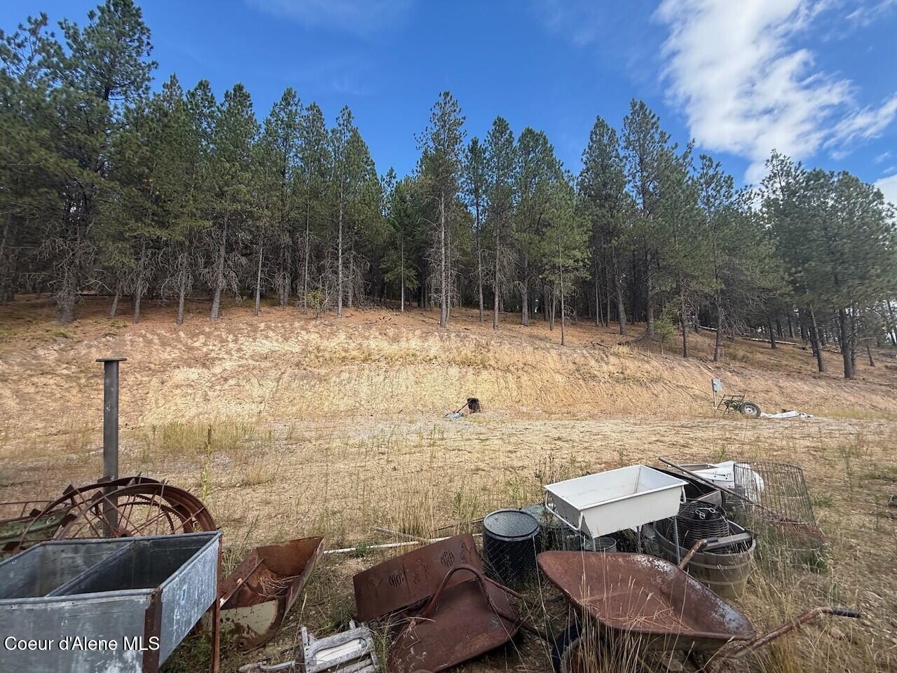 2972 South Fork Ridge Kingston, ID 83839 - Photo 11 of 12 Vergobbi 11
