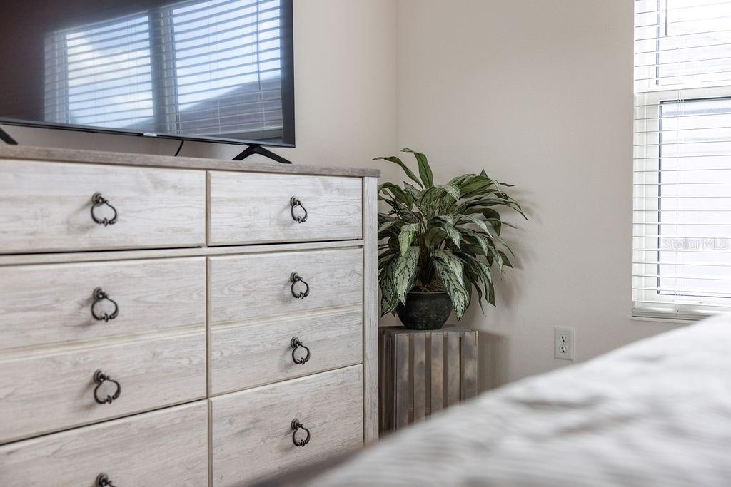 2938 Chimborazo Way The Villages, FL 32163 - Photo 42 of 50 a close view of a dresser