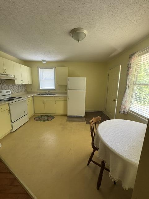 1015 Watson Pond Road Rome, ME 04963 - Photo 16 of 33 IMG_8402 (1)