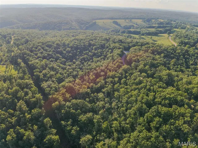 $71,900 | 0 State Hwy Y, Elk Creek, MO 65464