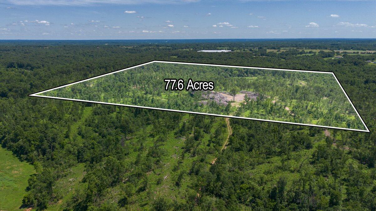 Lot 4 Adams Road Goodman, MO 64843 - Photo 3 of 16 Aerial view