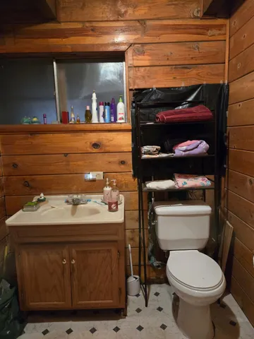a bathroom with a sink and a toilet