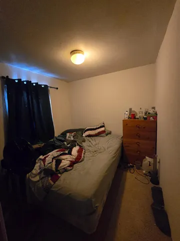 a bedroom with a bed and a closet