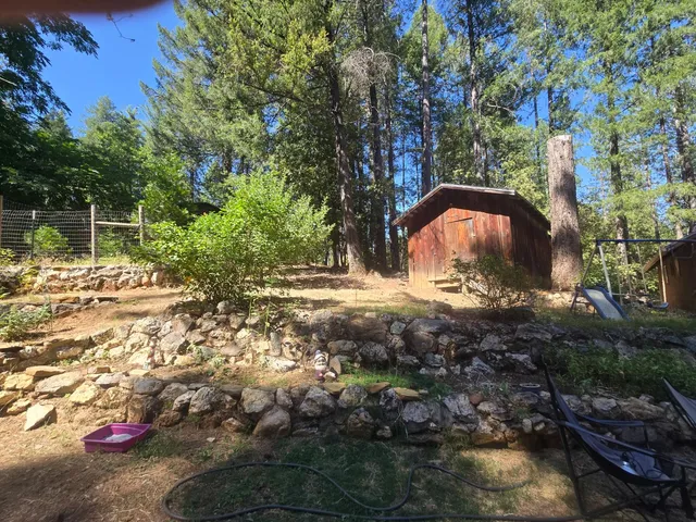 a view of yard with tree