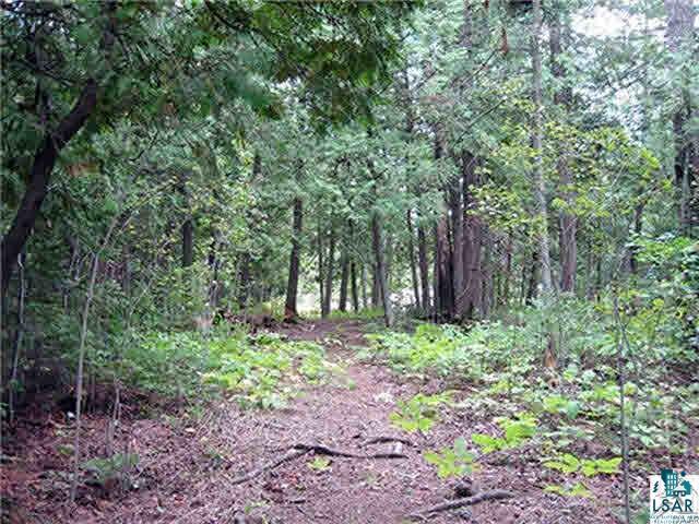 1987 West Shagawa Road Ely, MN 55731 - Photo 9 of 10 Gallery Image 9