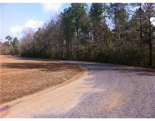 Stone County Road Wiggins, MS 39577 - Photo 1 of 14 Primary Photo