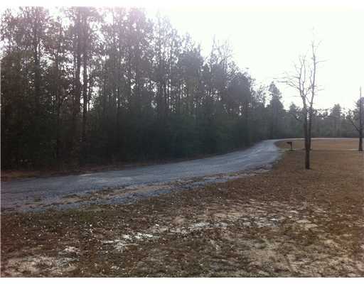 Stone County Road Wiggins, MS 39577 - Photo 2 of 14 Additional Photo