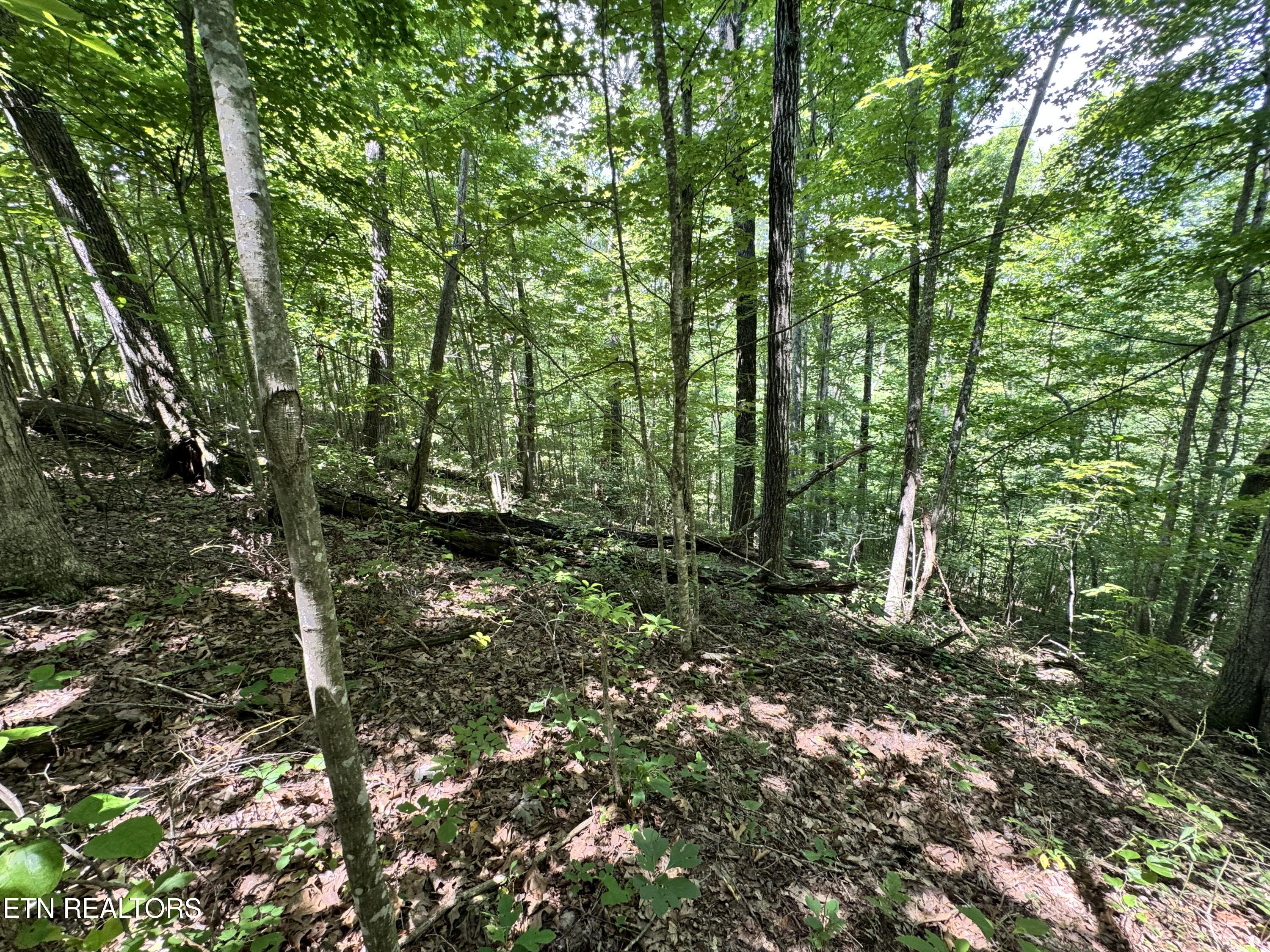 Key Ridge Lane Crawford, TN 38554 - Photo 12 of 16 IMG_3901