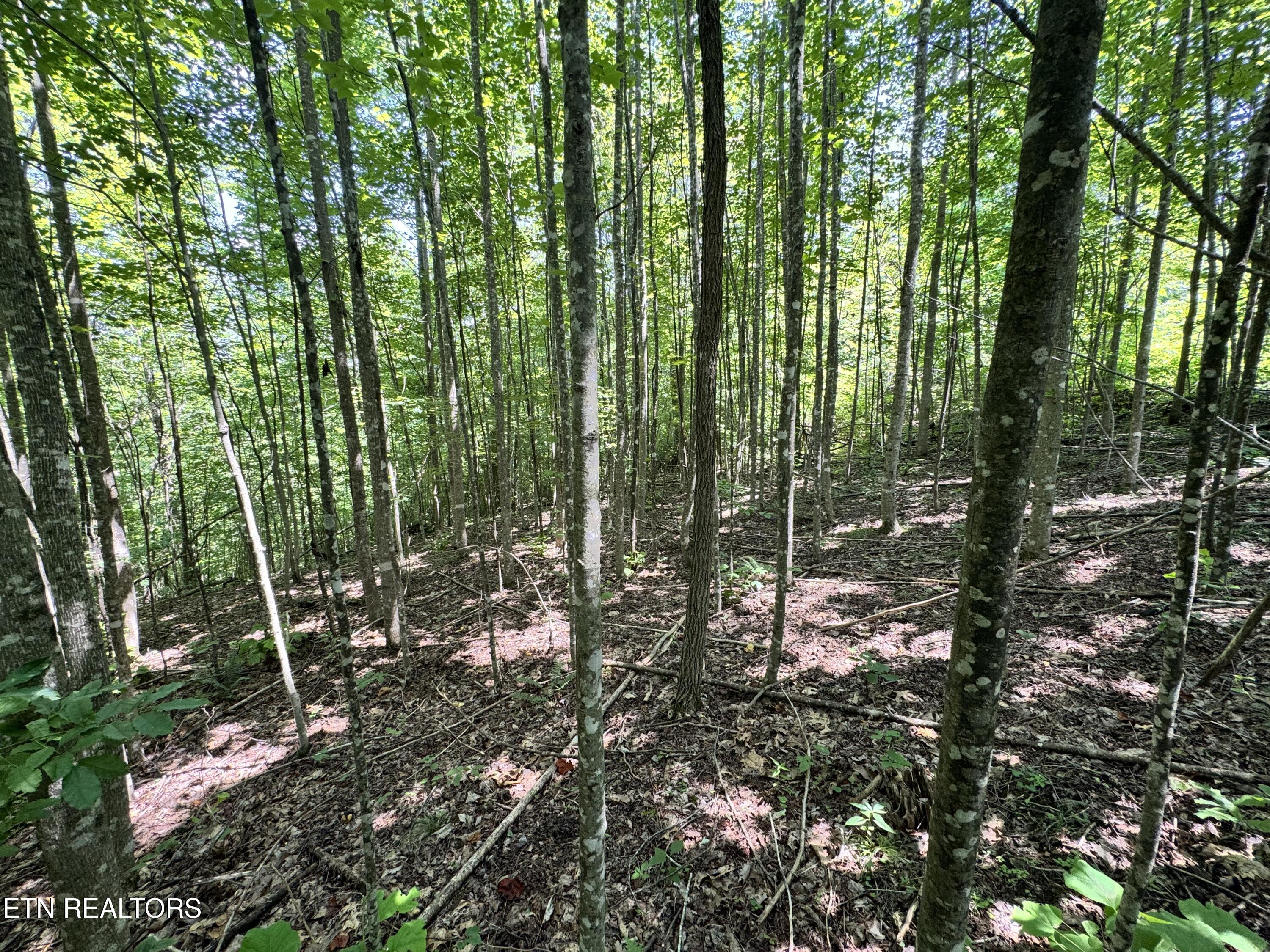 Key Ridge Lane Crawford, TN 38554 - Photo 13 of 16 IMG_3900