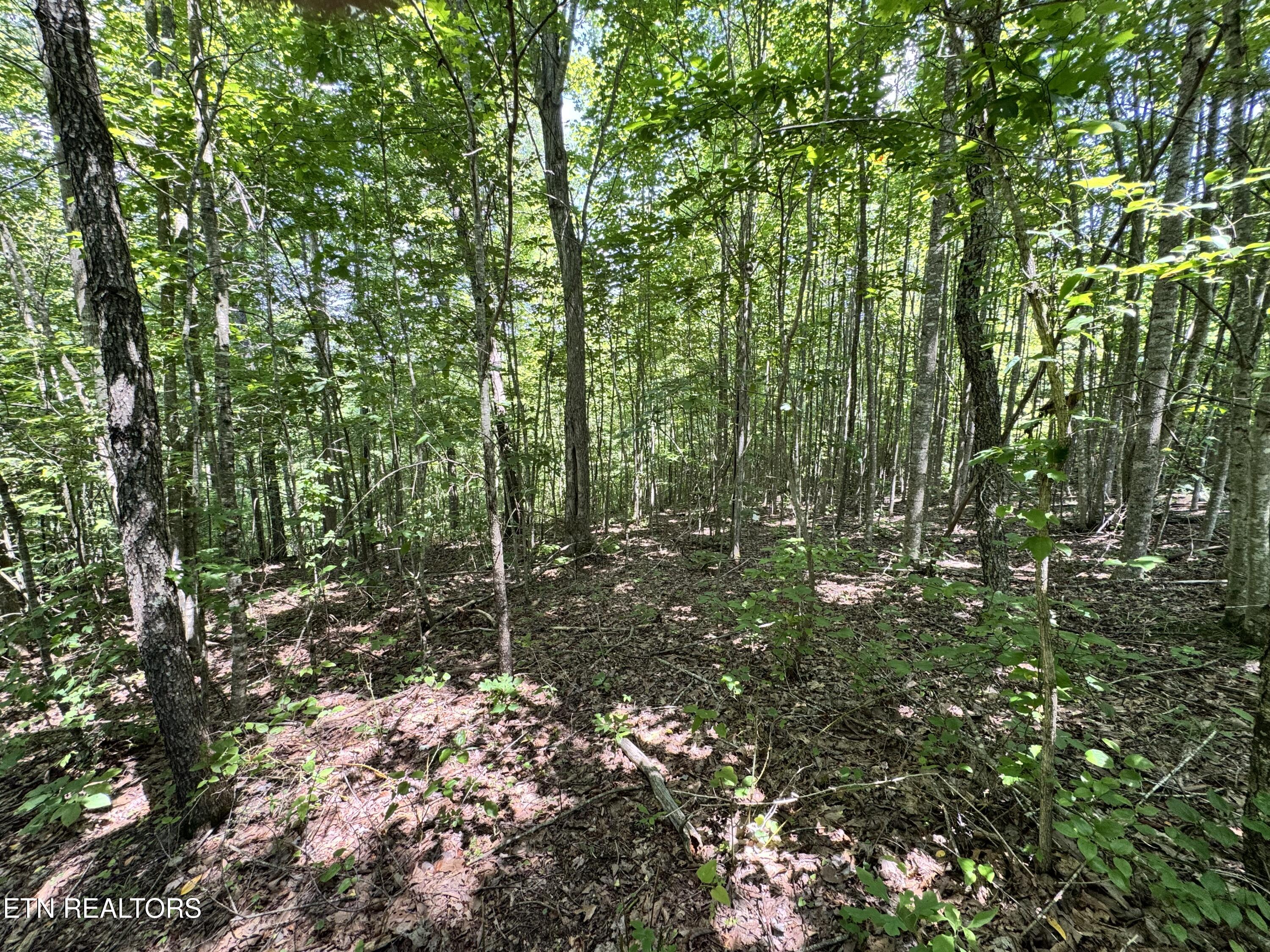 Key Ridge Lane Crawford, TN 38554 - Photo 14 of 16 IMG_3899