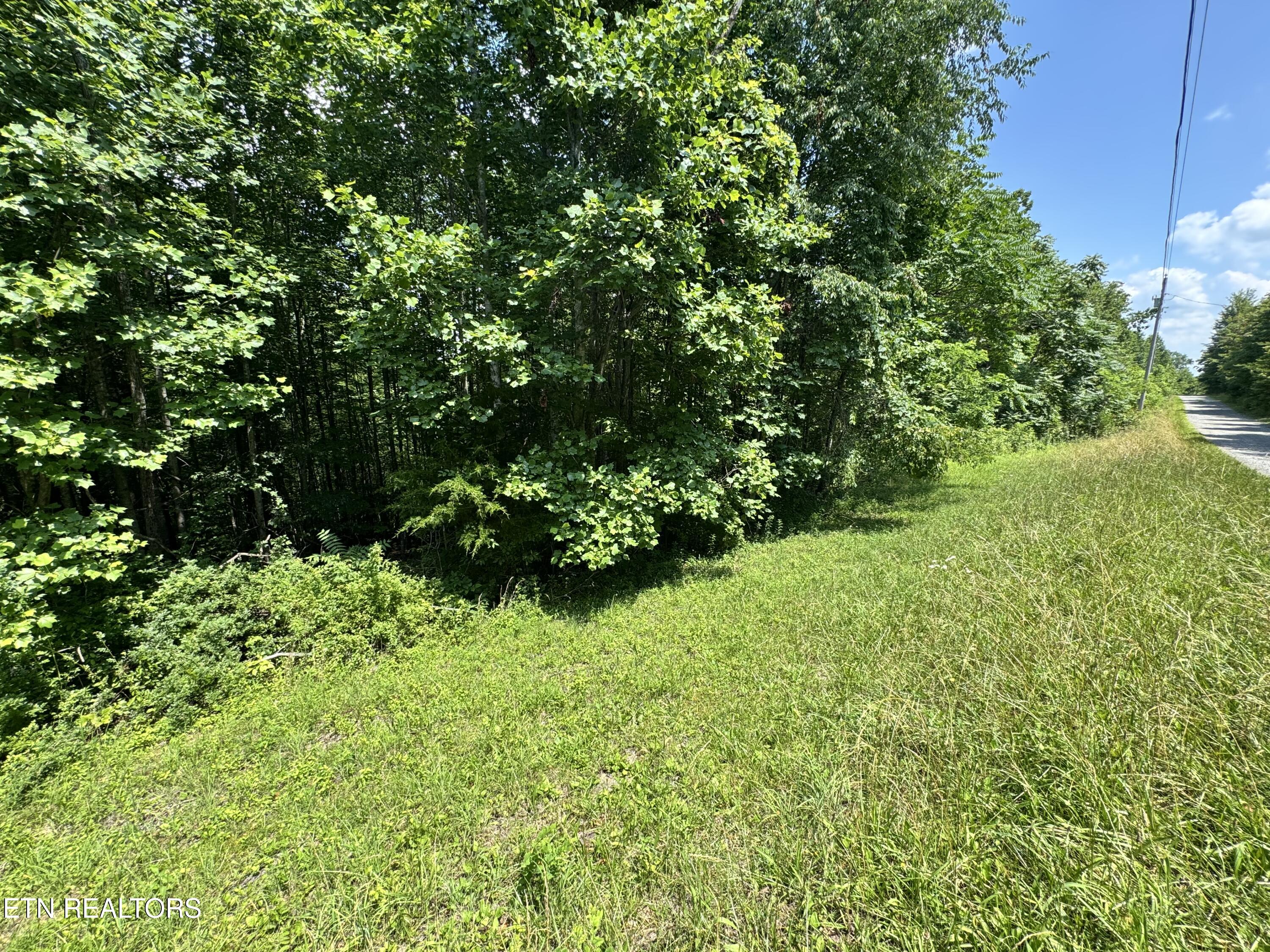 Key Ridge Lane Crawford, TN 38554 - Photo 15 of 16 IMG_3898