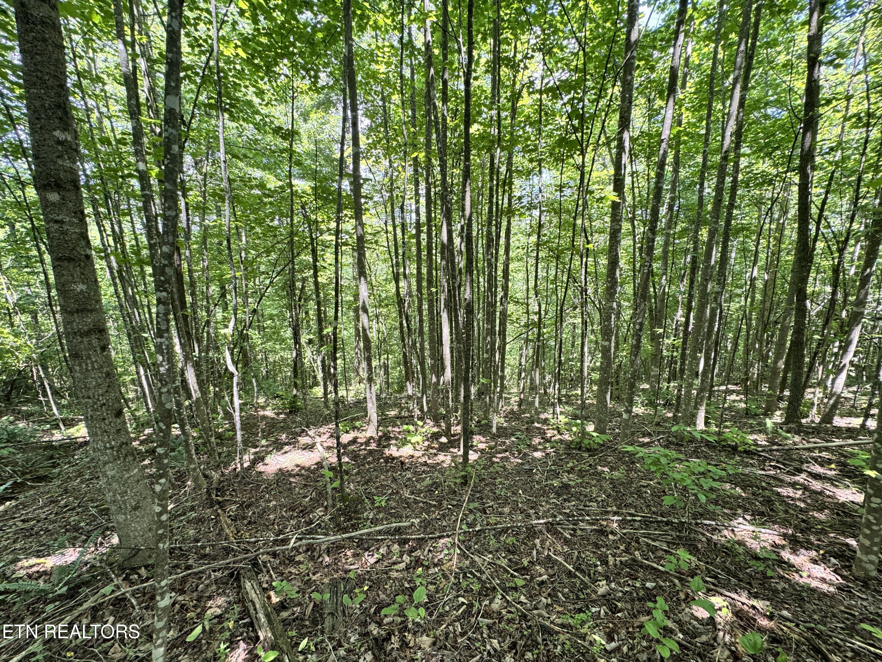 Key Ridge Lane Crawford, TN 38554 - Photo 2 of 16 IMG_3911