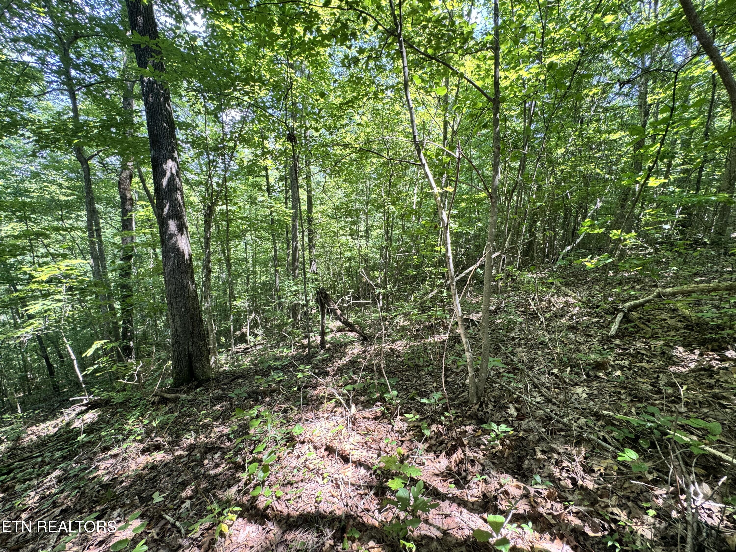 Key Ridge Lane Crawford, TN 38554 - Photo 5 of 16 IMG_3904