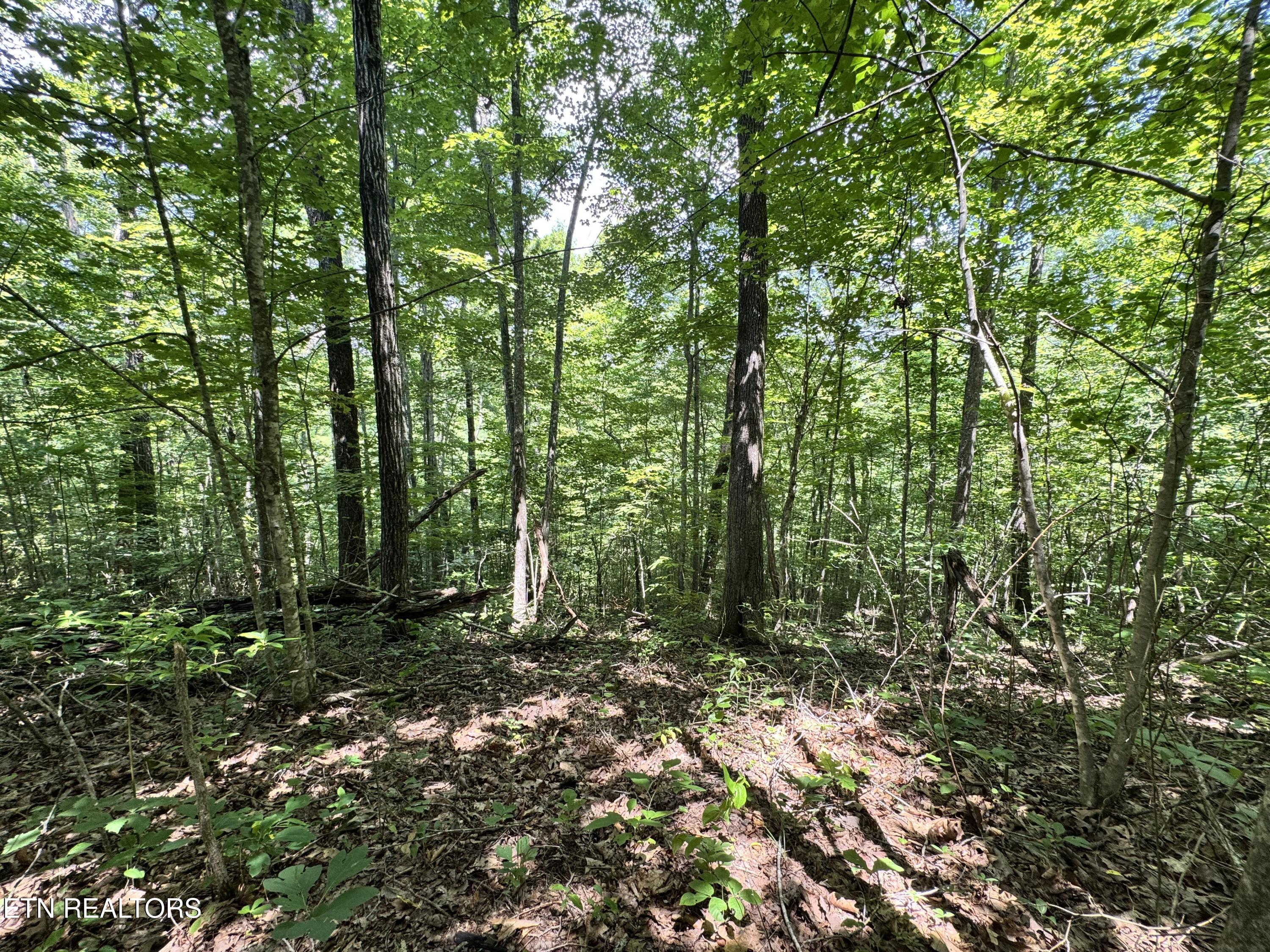 Key Ridge Lane Crawford, TN 38554 - Photo 10 of 16 IMG_3903