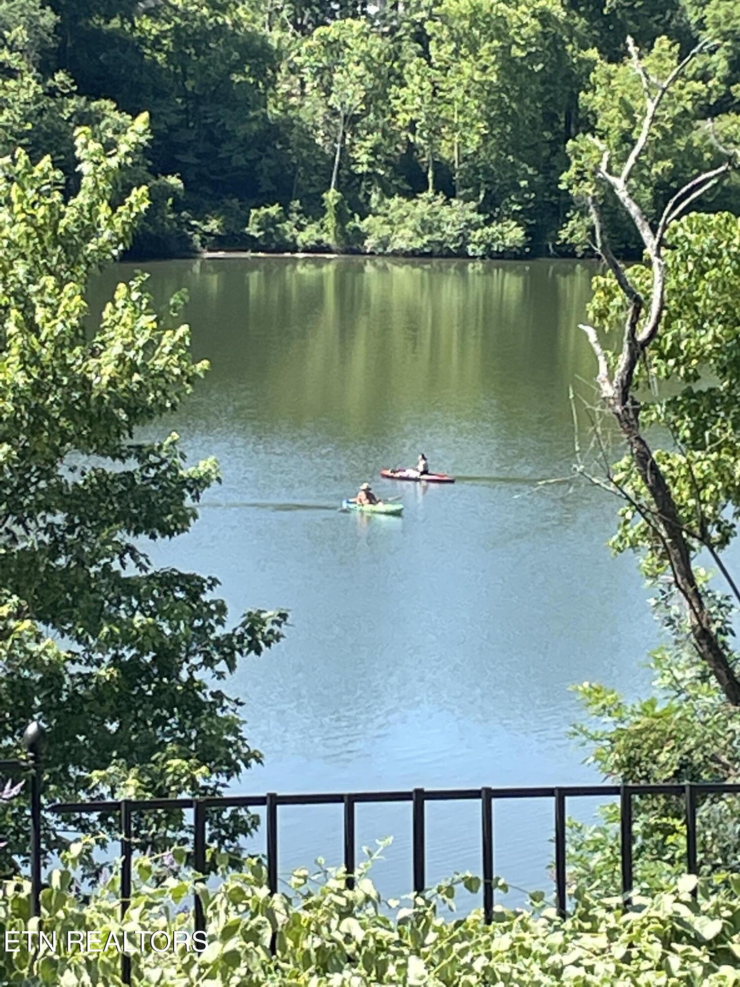 141 Settlers Road Harriman, TN 37748 - Photo 36 of 59 IMG_4888
