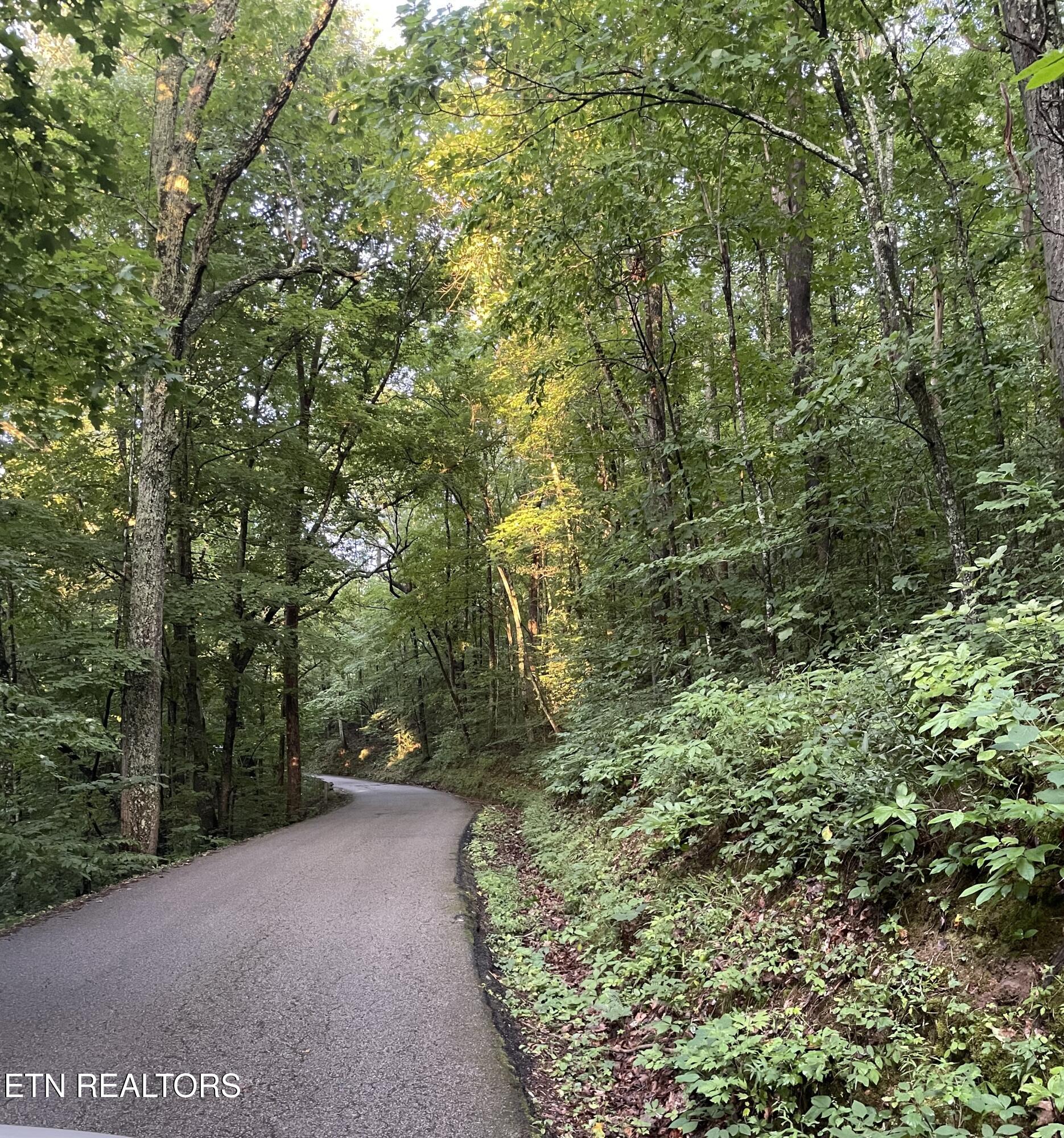 141 Settlers Road Harriman, TN 37748 - Photo 40 of 59 IMG_5698