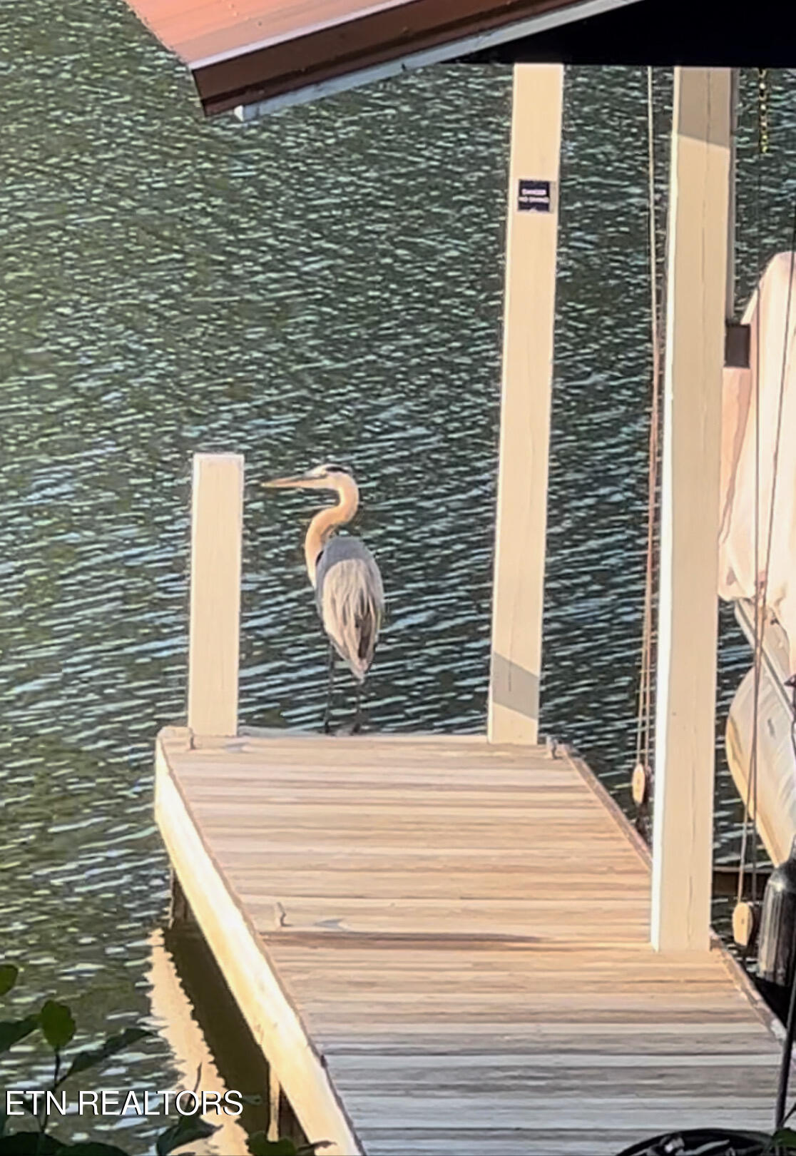 141 Settlers Road Harriman, TN 37748 - Photo 58 of 59 IMG_0610