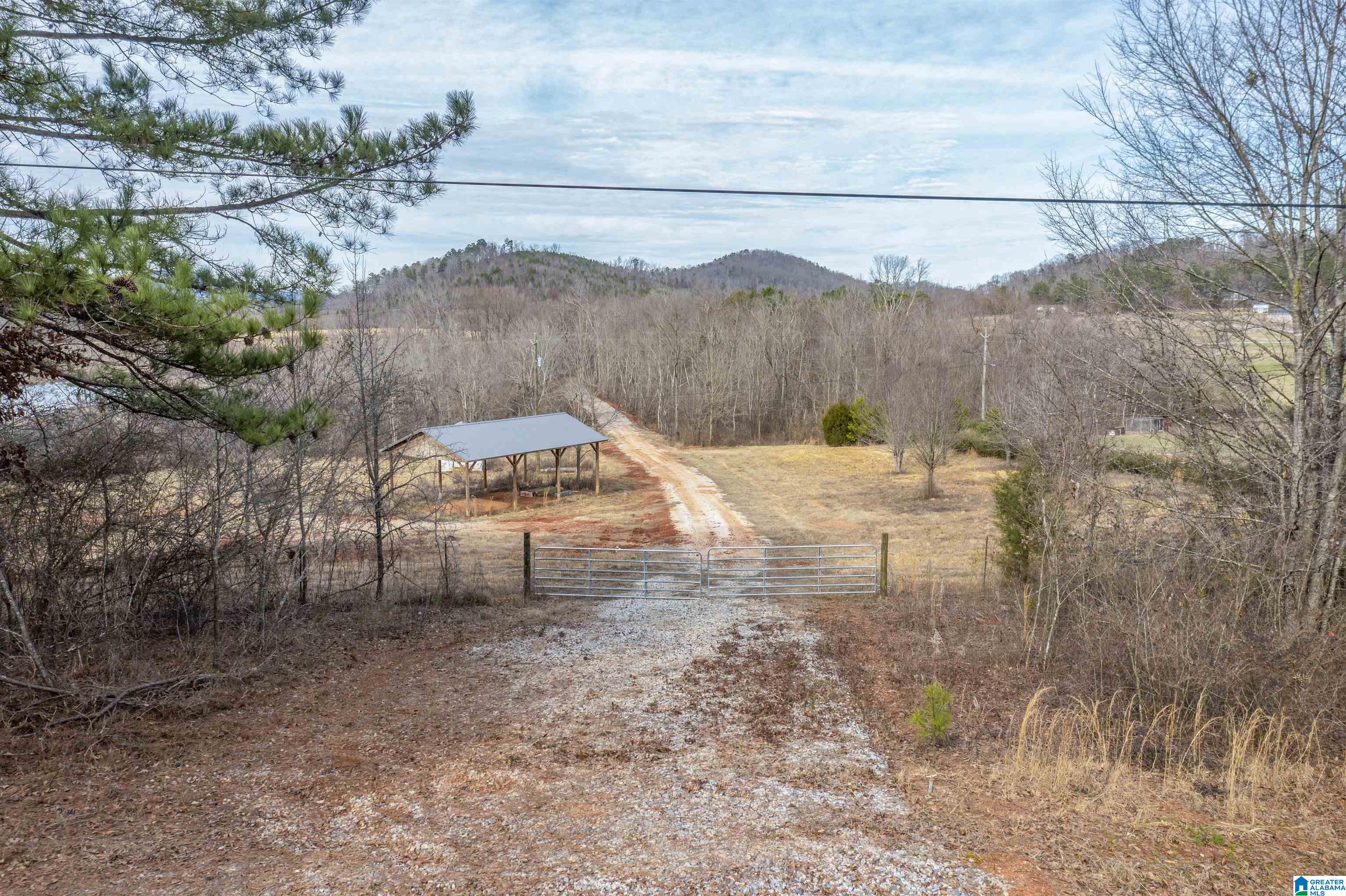 1619 Old Downing Ml Road, Unit 40 03 ACRES Anniston, AL 36207 - Photo 1 of 29