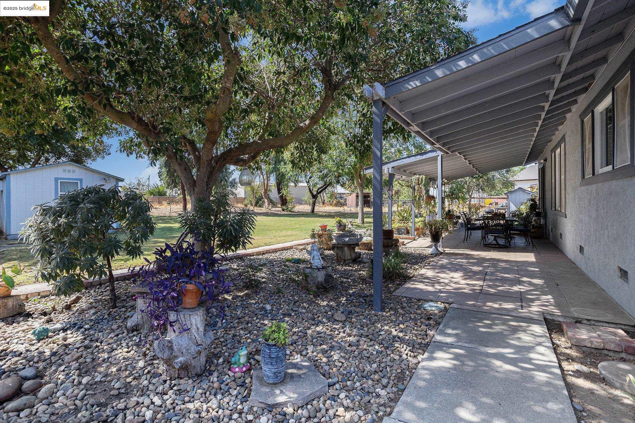 81 Yula Way Oakley, CA 94561 - Photo 11 of 44 a view of a backyard with large trees