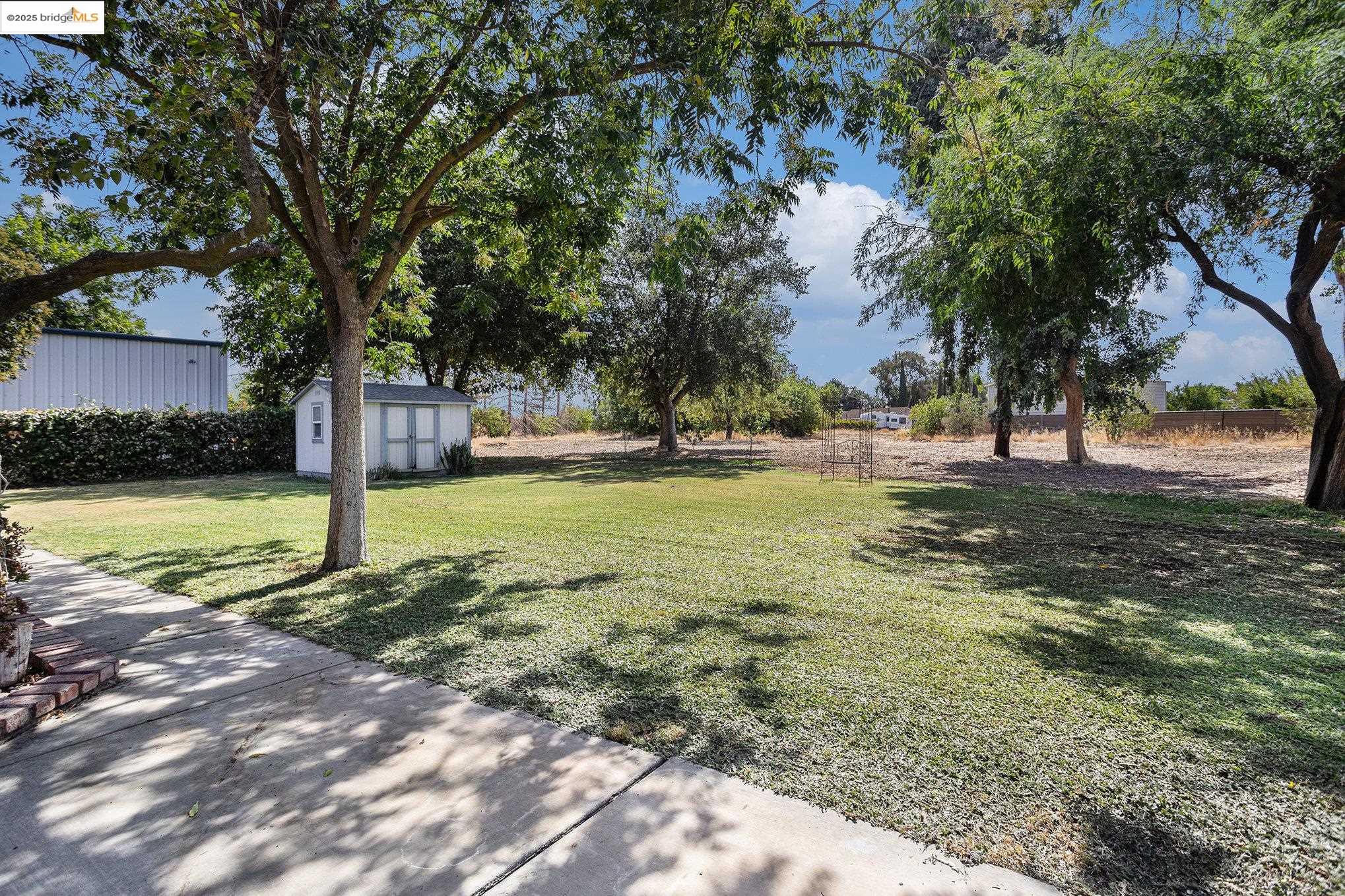 81 Yula Way Oakley, CA 94561 - Photo 21 of 44 a view of a yard with a tree