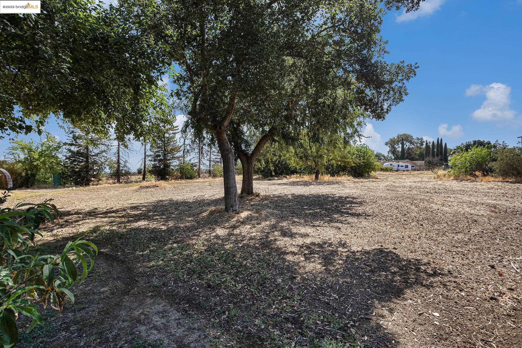 81 Yula Way Oakley, CA 94561 - Photo 23 of 44 a view of dirt field with trees
