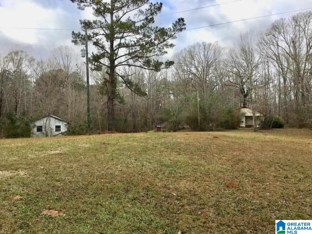3972 Ccc Road Rockford, AL 35136 - Photo 15 of 15