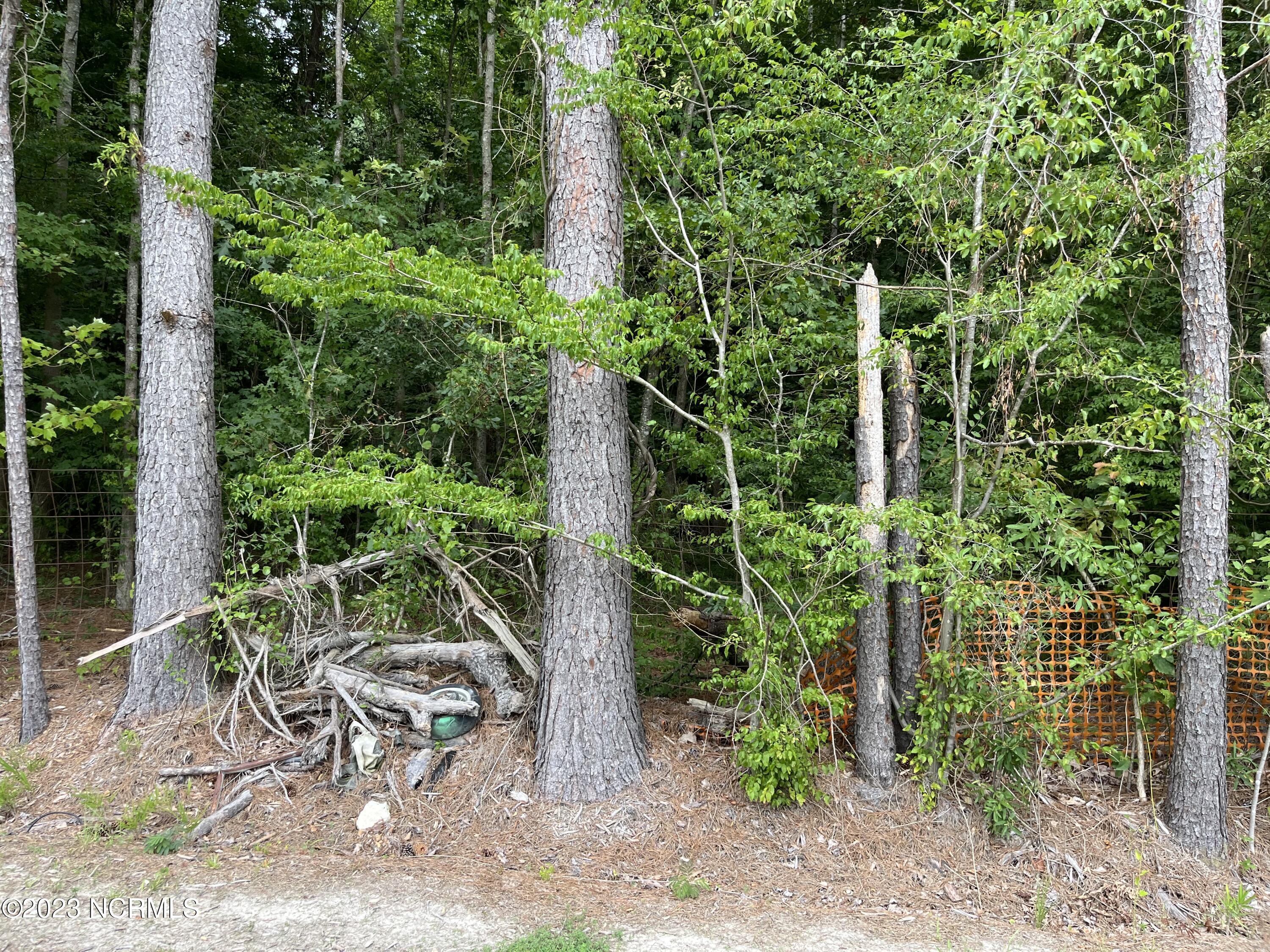 502 New Road Elizabeth City, NC 27909 - Photo 7 of 7 502 New Road wooded back half of lot