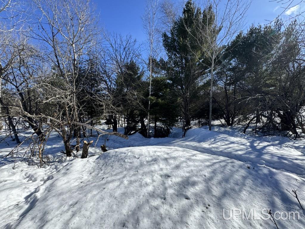 Tbd Bellaire Road Baraga, MI 49908 - Photo 11 of 20