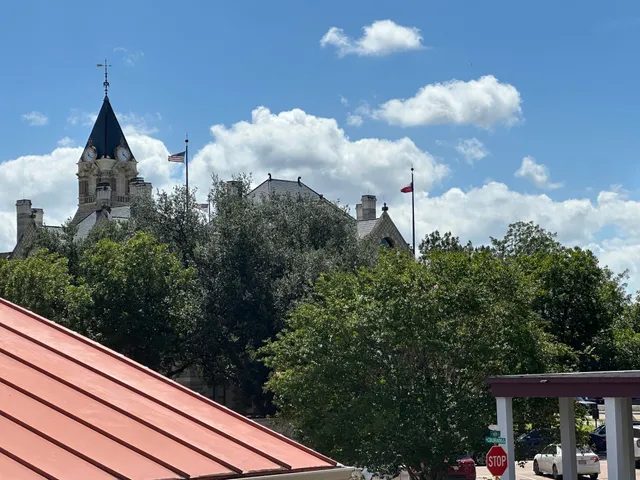 a view of a yard with plants