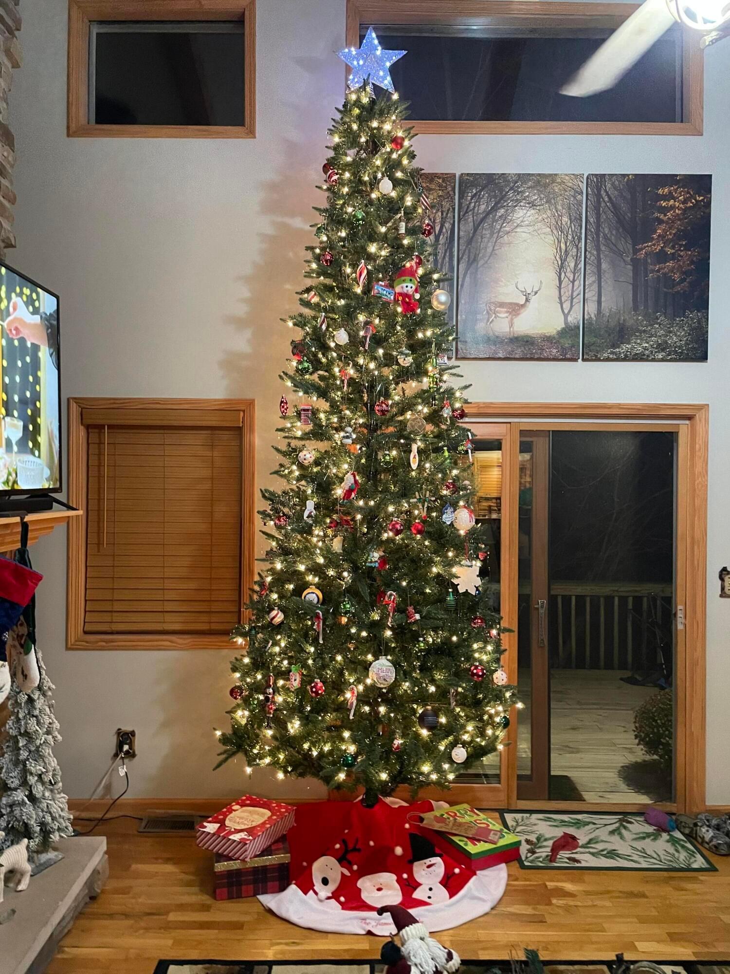 1665 Alpine Drive Bremen, OH 43107 - Photo 1 of 34 12ft Tree