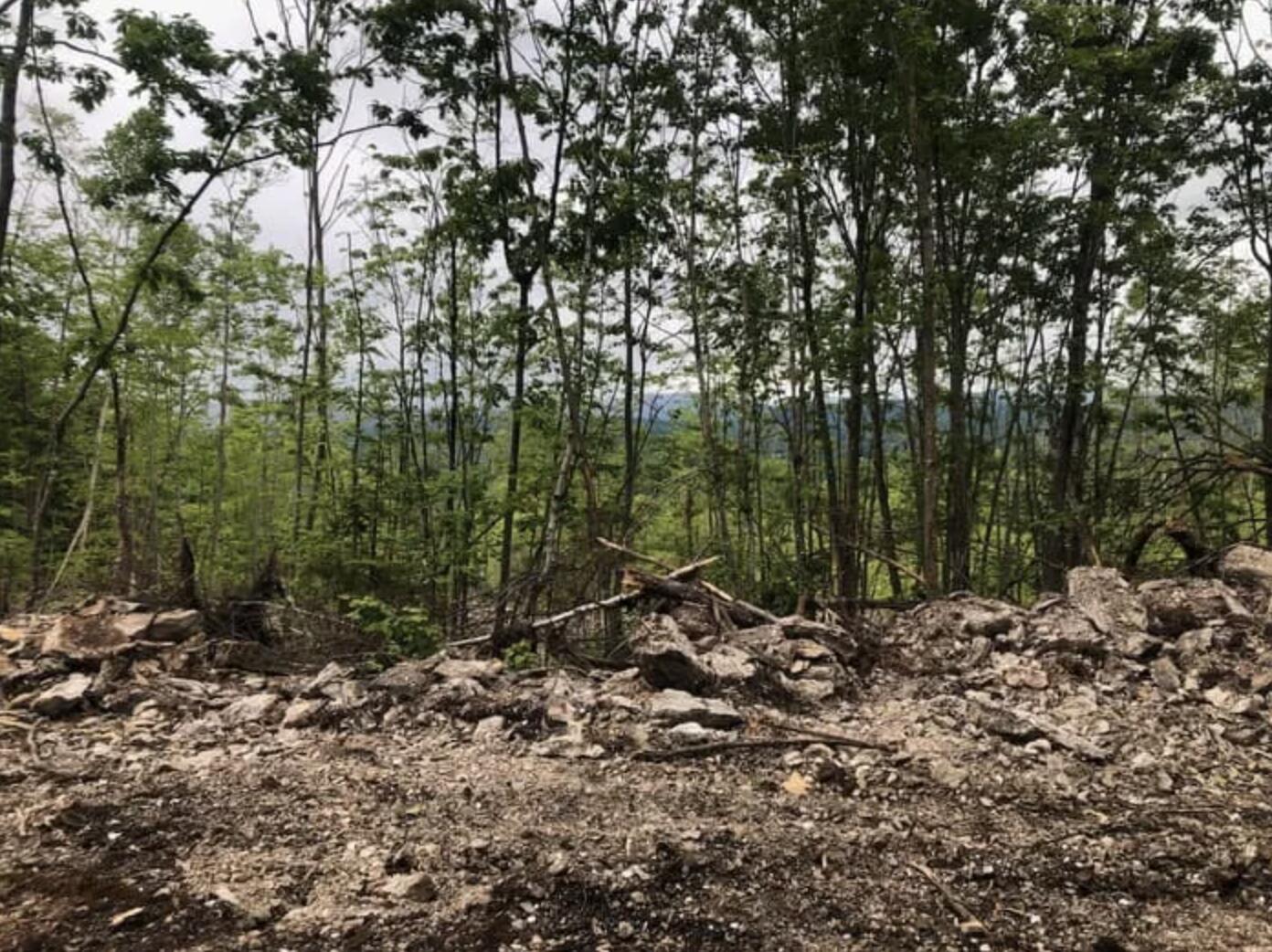 40 Streaked Mountain Road Buckfield, ME 04220 - Photo 4 of 14 Screen Shot 2025-05-22 at 3.26.34 PM