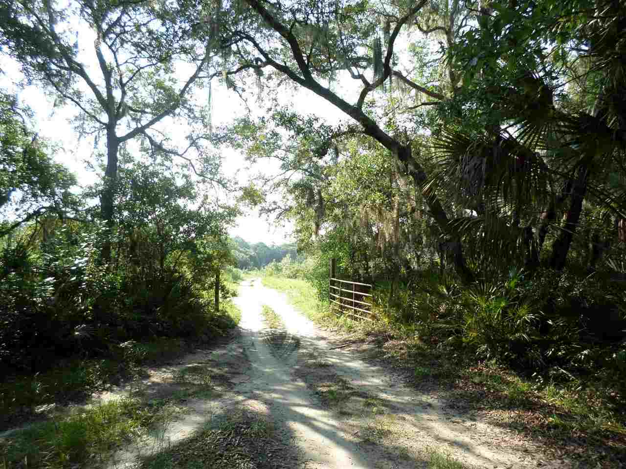 5-acres Dennis Howell Road, Unit 1 Perry, FL 32348 - Photo 11 of 14 Gallery Image 11