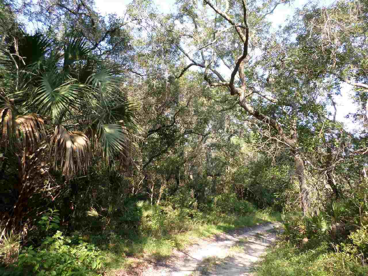 5-acres Dennis Howell Road, Unit 1 Perry, FL 32348 - Photo 12 of 14 Gallery Image 12