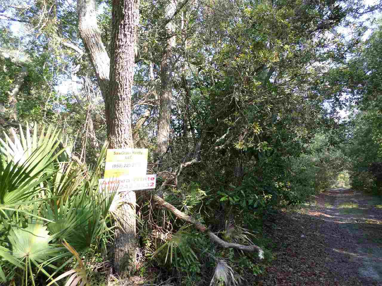 5-acres Dennis Howell Road, Unit 1 Perry, FL 32348 - Photo 13 of 14 Gallery Image 13